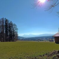 Lange Lichtung nach links oben, Nußdorf