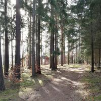 Von Bucha zur Klinkhardtshöhe und Gustavs Ruh