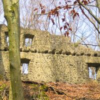 Burgruine Freudenkoppe Neroth