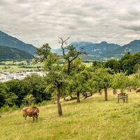 Almidylle oberhalb Liezen