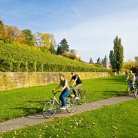 Radeln in Aschaffenburg
