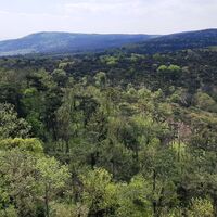 Ausblick auf der Ruine Rauheneck