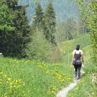 Weg vor Geissalpbrügg - Alpenpanoramaweg Etappe 19