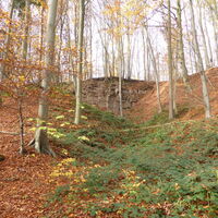 Alter Steinbruch zwischen Wehrden und Blankenau am Naturparktrail