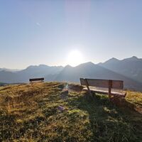 Maraner Hauptji - Eine Pause wert!