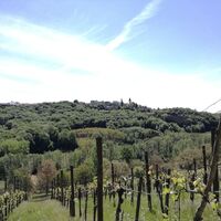 Von Schemming blickt man zur Kirche nach St. Anna am Aigen