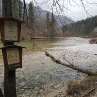 Rinnende Mauer Trail - Molln (lang)