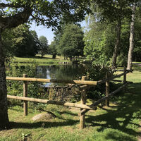Weiher im Landschaftsgarten