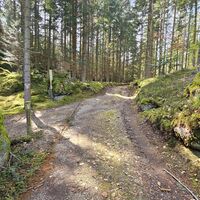15.7 km Scharf links abzweigen
