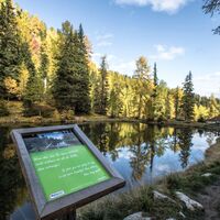 Stille Wasser: Spruchtafel am Waldsee