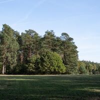 Waldrand