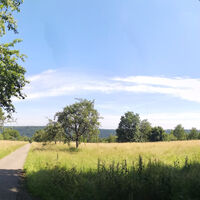 Der Wanderweg führt vorbei am Waldrand und durch Streuobstwiesen.
