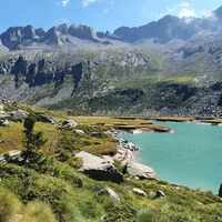 Lago Dossaccio mit Vieh