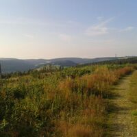 Grasweg mit Panorama-Aussicht auf dem Hohen Eimberg