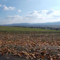 Blick zum Thüringer Wald