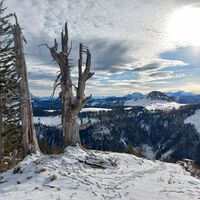Weg nach Wieslerhorn