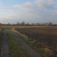 Goldgeben am Wagram