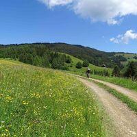Über die Almen zum Steinplan