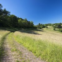 Naturschutzgebiet Wartekopf oberhalb von Ulmet