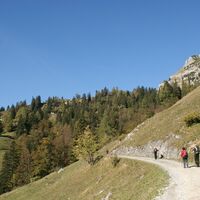 Über die Forststraße auf die Grabneralm