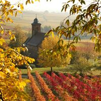 Nikolauskapelle in Klingenmünster im Herbst