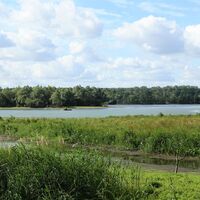 Ilkerbruch