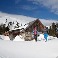 Schneeschuhspaß auf der Alm