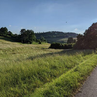 Haukuppenweg 10