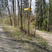 Zwischen Beurener Kreuz und Weiler in den Bergen