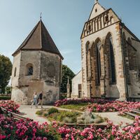 Basilika St. Laurenz Enns