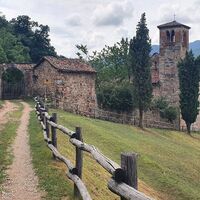 Torello