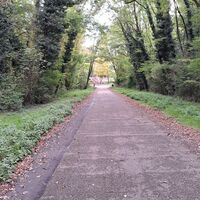 Am Rückweg zum Parkplatz