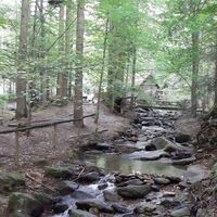 Der Fresenbach im "Märchenwald", Anger in der Oststeiermark