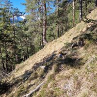 Dürftiger Trampelpfad als Fortsetzung der Latschengasse, verliert sich dann endgültig im Wald.
