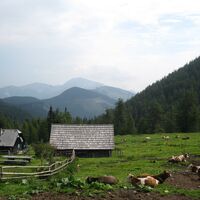 Göriacher Alm und Hochanger