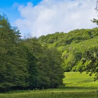 Das Schlehbachtal im Norden des Eifeler Nationalparks.