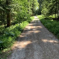 der Weg zurück zum Ausgangspunkt