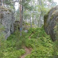 Haukkavuoren Naturpfad
