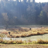 Fitnessrunde Mutlangen
