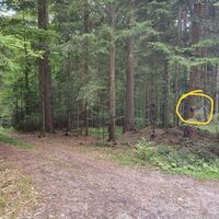 Abzweig von der Forststraße, Weg nach Kohlau
