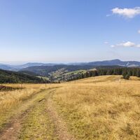 Aussicht vom Stübenwasen