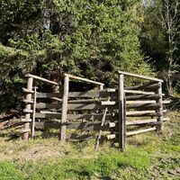 Ein Karzer für schlimme Stiere?