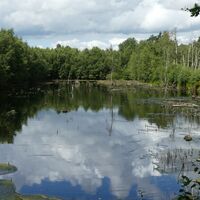 Hohes Moor bei Oldendorf