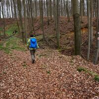 Ruhe pur
