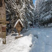 im schnee auf die packeralpe_img_25667533