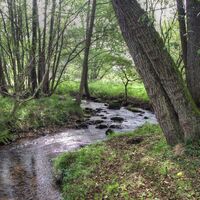 Moosalbwanderweg