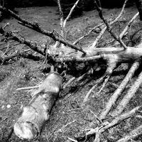 Schmugglerregion Kössen