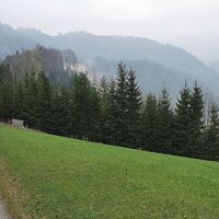 36.0 km Start Single Steinreith