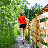 Knackiger Uphill in Richtung Waldabschnitt