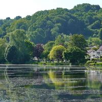 Würzbacher Weiher mit Annahof- ein Garten mit Geschichte
